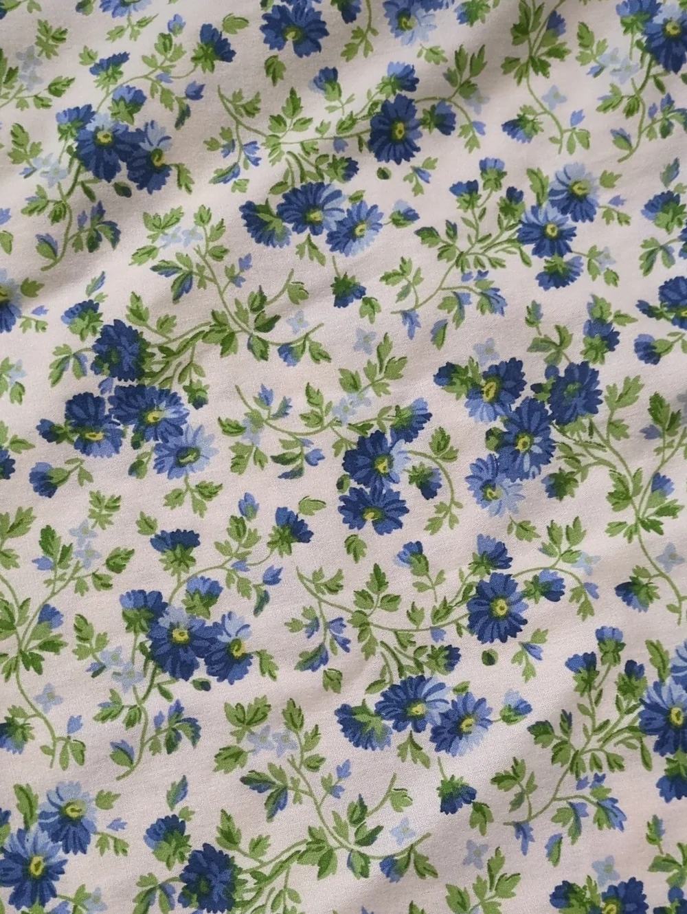 Laura Ashley Blue and Green Floral Pillow Shams
